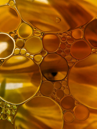 Papaya fruit oil