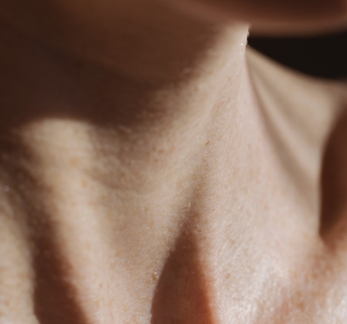 skin