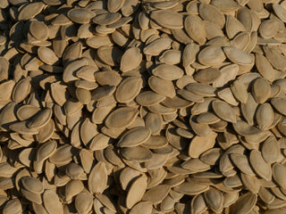 Pumpkin seeds