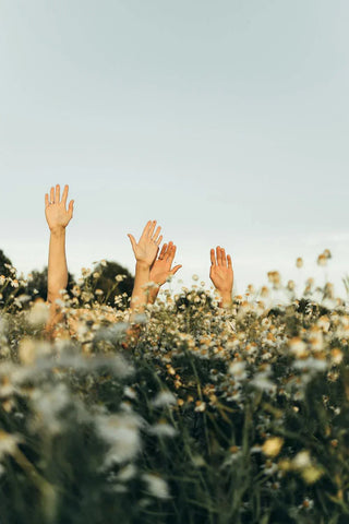 Hands reach up from a field of wildflowers against a soft sky, evoking freedom, joy, and a connection to nature