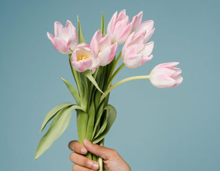 Bouquet of tulips